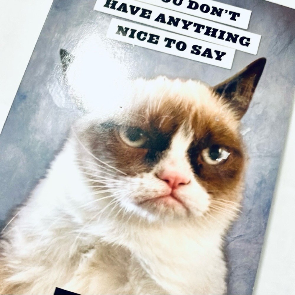 Grumpy Cat Notebook Planner - Picture 3 of 5